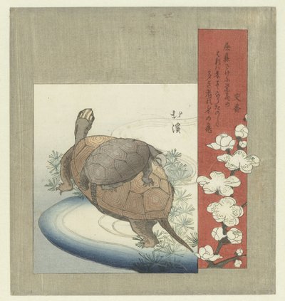 Schildpadden door Totoya Hokkei