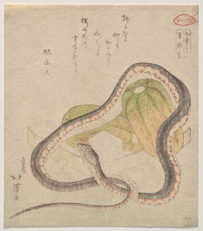 Slang verstrengeld met kalebassen (Chomonj?; afkorting voor de Kokon Chomonj?) door Totoya Hokkei