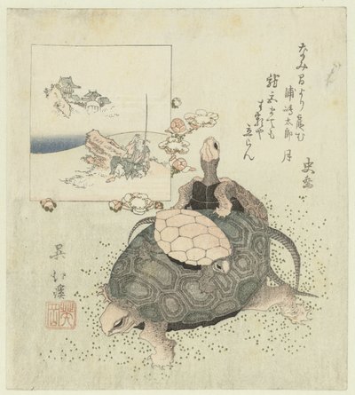 Schildpadden door Totoya Hokkei