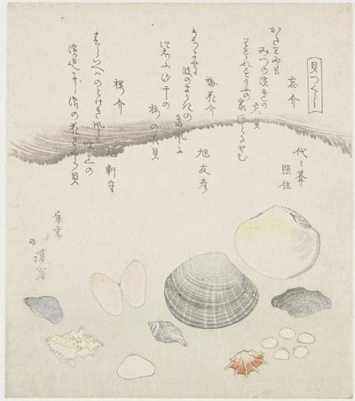 Vergeten schelp, pruimenbloesem schelp en kersen schelp door Totoya Hokkei