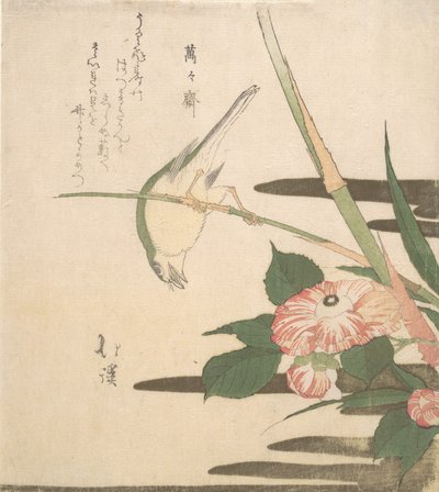 Zanger en Camellia, ca. 1815-20 door Totoya Hokkei