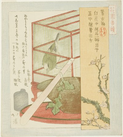Zanger in een Kooi, uit de serie "Een Serie voor de Hanazono Groep (Hanazono bantsuzuki)" door Totoya Hokkei