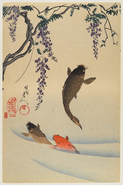 Drie karpers door Toyohara Chikanobu
