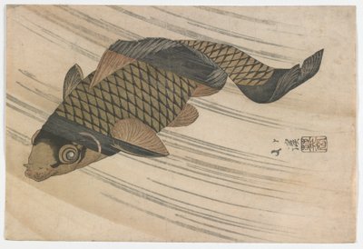 Karpers zwemmen stroomopwaarts, Edo-periode, midden 1820s door Toyota Hokkei