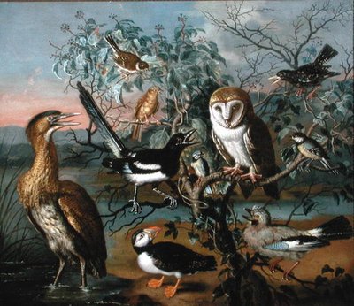 Een Concert van Vogels: een Papegaaiduiker, Vlaamse Gaai, Koolmees, Roerdomp, Spreeuw, Ekster, Geelgors, Roodgors en Kerkuil door Trajan Hughes