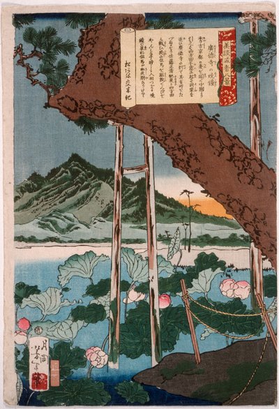  door Tsukioka Yoshitoshi