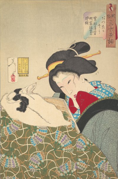 Warm voelen, 1888 door Tsukioka Yoshitoshi