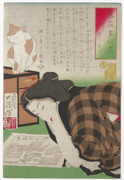 Ik wil mijn abonnement opzeggen, januari 1878 door Tsukioka Yoshitoshi