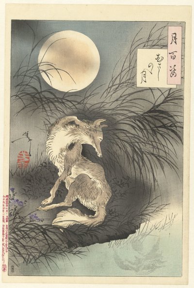 Maan van Musashi (Honderd aspecten van de maan) door Tsukioka Yoshitoshi