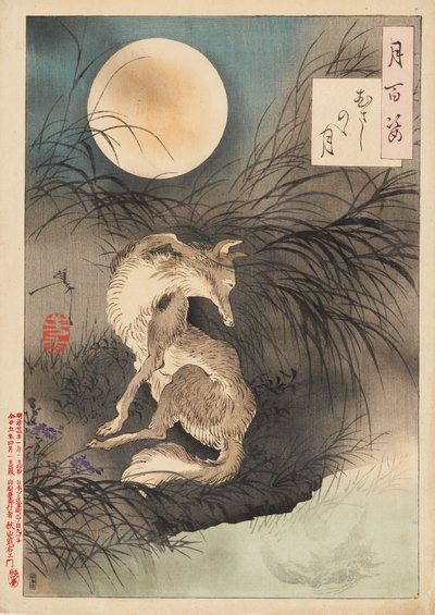 Musashi-vlakte Maan door Tsukioka Yoshitoshi