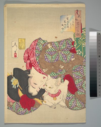 De kat plagen door Tsukioka Yoshitoshi