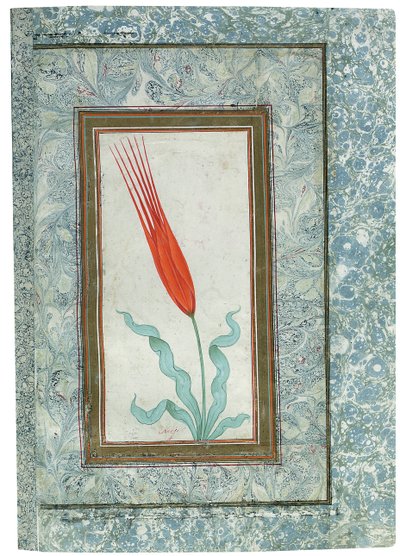 Pagina uit het Turkse Tulp-album, Istanbul, 1725 door Turkish School