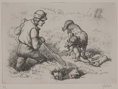 Illustratie voor 
