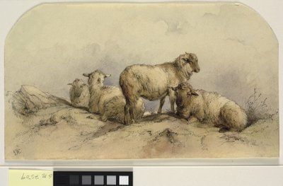 Schapen in een landschap door Ubekendt KKSgb7508 KKSgb7512