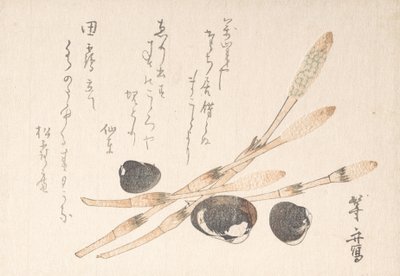Tsukushi-plant en Shijimi-schelpen door Uematsu Toshu