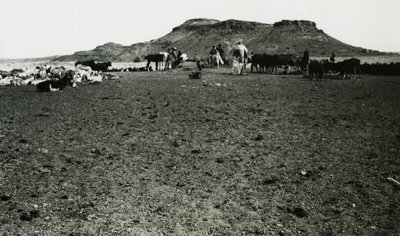 Uitzicht op archeologisch gebied van Naqa, met dromedarissen en vee, Soedan, foto door Ugo Monneret de Villard door Ugo Monneret de Villard