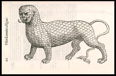 Monsterwezen: een leeuw bedekt met vissenschubben (of leeuwvis). Gravure door Ulisse Aldrovandi (1522-1605), 