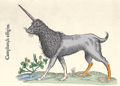 Representatie van een camphurch, monster van de Molukken Eilanden. Gravure door Ulisse Aldrovandi, Monstrorum Historiae, Bologna 1642 door Ulisse Aldrovandi