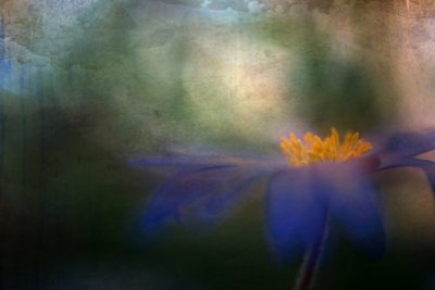  door Ulrike Eisenmann