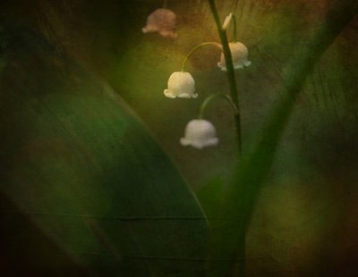  door Ulrike Eisenmann