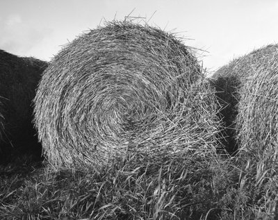 Landbouw in de Essonne Oktober 1983 hooimolen stro door Unbekannt