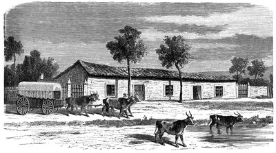 Een Boerenboerderij, Zuid-Afrika, ca. 1890 door Unbekannt
