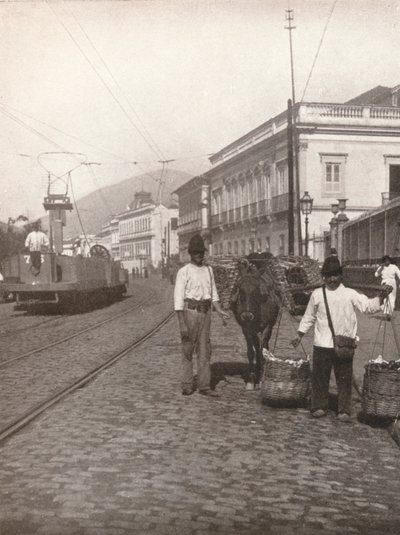 Een straatbeeld van Botafogo, Rio, 1914 door Unbekannt