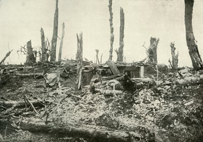 Een schuilplaats in wat eens een bos was, 1919 door Unbekannt