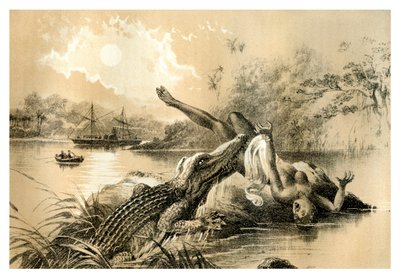 Een Angstaanjagend Incident, 1883 door Unbekannt