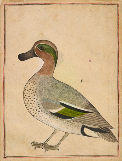 Een wintertaling, ca. 1730 door Unbekannt