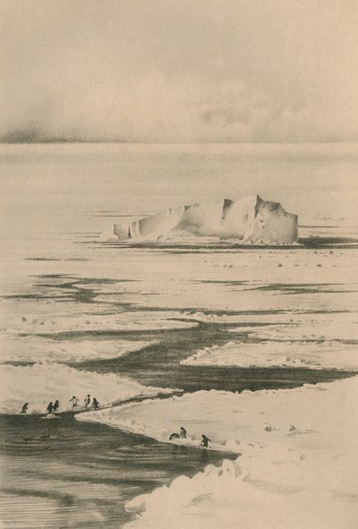Een leider in de roedel, c1910-1913, 1913 door Unbekannt