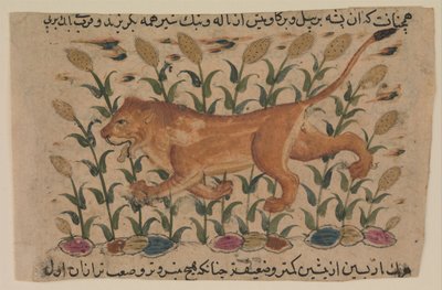 Een leeuw, Folio uit een verspreide Nuzhatnama-i ‘Ala’i van Shahmardan ibn Abi’l Khayr, begin 17e eeuw door Unbekannt