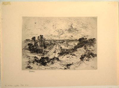 Een weg bij de zee, Easthampton, New York door Unbekannt