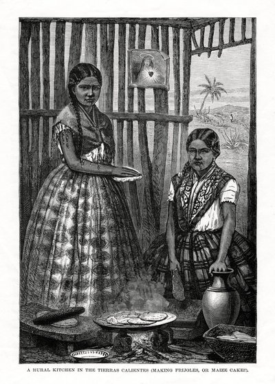 Een landelijke keuken in de Tierras Calientes, Mexico, 1877 door Unbekannt