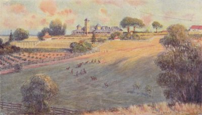 Een Station Homestead, 1923 door Unbekannt