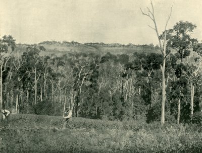 Een Victoriaanse bergboerderij, 1901 door Unbekannt