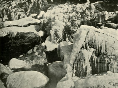 Een winters tafereel in New England, 1901 door Unbekannt