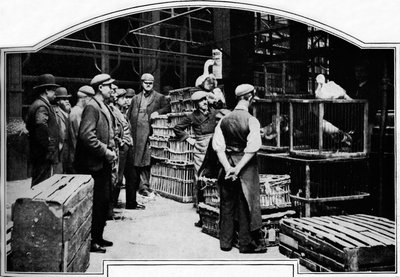 Een hoek van Leadenhall Market, Londen, c1901 door Unbekannt