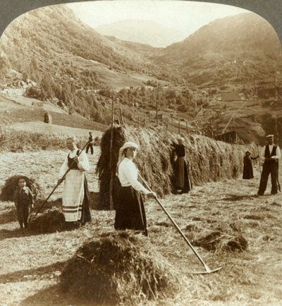 Een boerenfamilie die hooi maakt in een zonnig veld tussen de bergen, Roldal, Noorwegen, ca. 1905 door Unbekannt