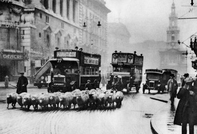 Een kudde schapen op de Strand, Londen, 1926-1927 door Unbekannt