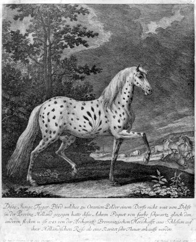 Een kleurfreak, Duitsland, 1722 1938 door Unbekannt