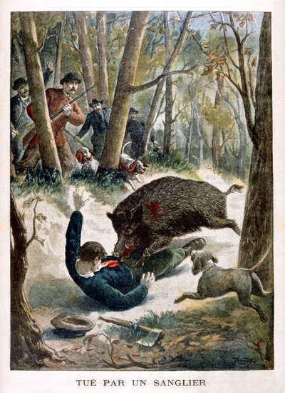 Een jager gedood door een wild zwijn, 1901 door Unbekannt