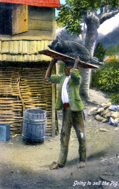 Een man op weg naar de markt om een varken te verkopen, Jamaica, ca. 1900s door Unbekannt