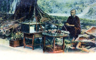 Een man die fruit verkoopt onder een boom, Hong Kong, China, ca. 1900s door Unbekannt