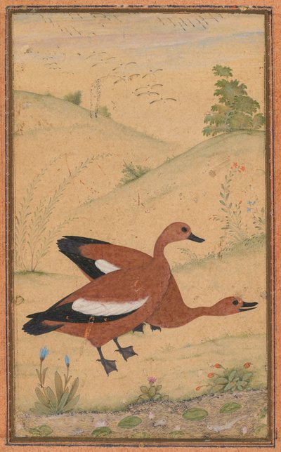 Een paar Brahminy-eenden, ca. 1595, randen waarschijnlijk toegevoegd in de 1800s door Unbekannt