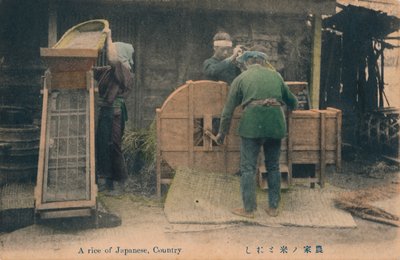 Een rijstveld van Japanners, platteland, ca. 1910 door Unbekannt