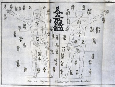 Acupunctuur: kaart van het menselijk lichaam met de moxibustiepunten, Japan (Kaart met betrekking tot moxa, ca. 1690) door Unbekannt