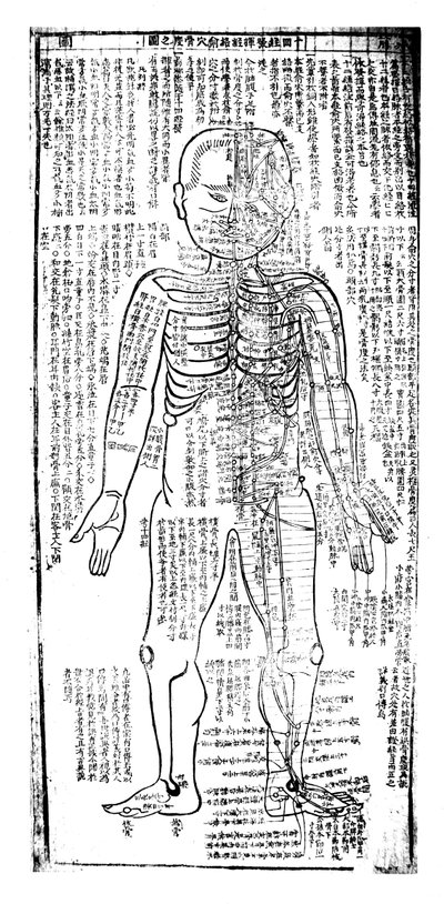 Acupunctuurkaart voor de voorkant van het lichaam, Japans, 19e eeuw door Unbekannt