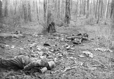 Nasleep van de gevechten in het park van Plessis-de-Roye, Picardië, Frankrijk, 30 maart 1918 door Unbekannt