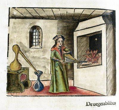 Alchemie 16e eeuw: een alchemist aan het werk, een blaasbalg activerend voor de schoorsteen van zijn atelier, achter hem een kachel en een alambiek door Unbekannt
